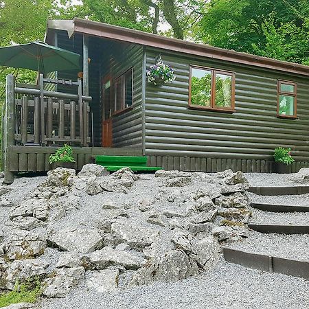 فندق Garnffrwd Park Llanddarog المظهر الخارجي الصورة