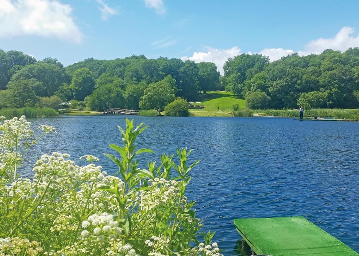 فندق Garnffrwd Park Llanddarog المظهر الخارجي الصورة