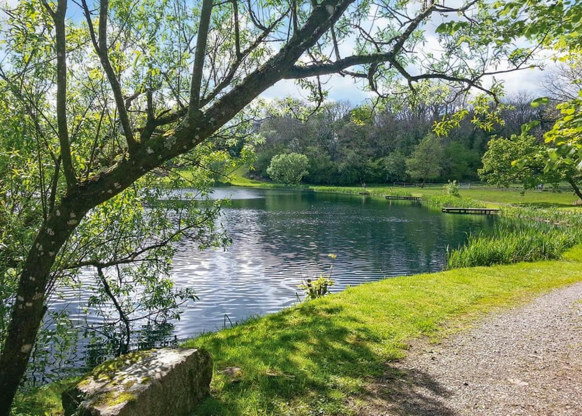 فندق Garnffrwd Park Llanddarog المظهر الخارجي الصورة